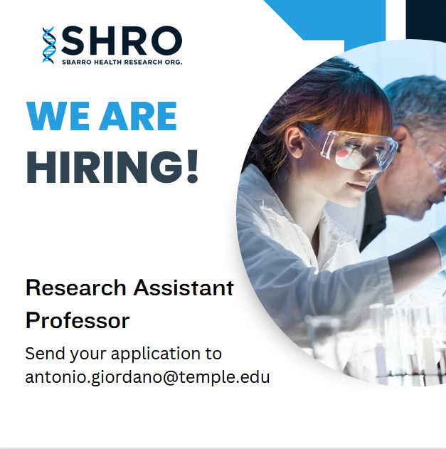 SHRO hiring for research assistant professor.png
