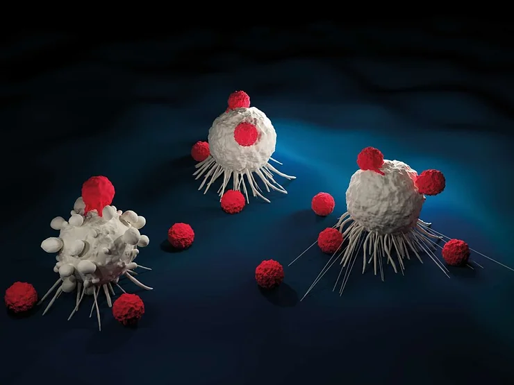 Tumors and the Defense of Car-T Therapies