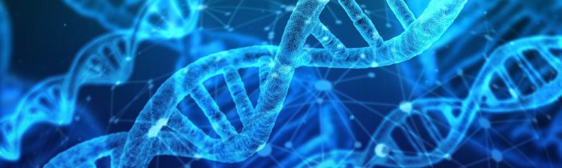 NONO Molecules Block Immune System Defenses Against Breast Cancer. So Researchers Switched It Off