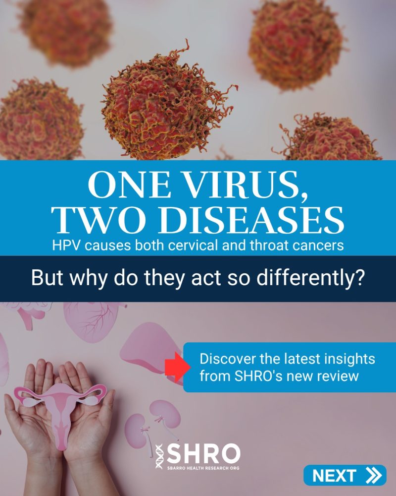 One Virus, Two Diseases: SHRO-Led Review Reveals Gaps in HPV Cancer Treatment