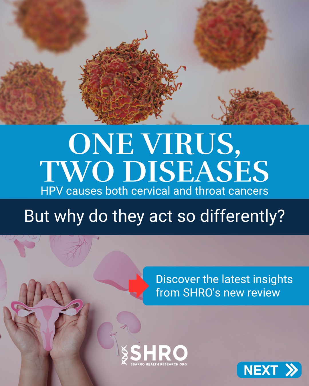 One Virus, Two Diseases: SHRO-Led Review Reveals Gaps in HPV Cancer Treatment