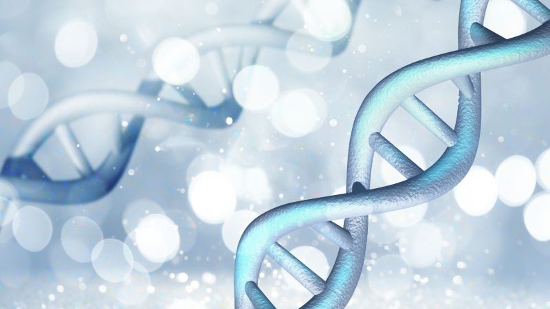 Genomics and the new debate on Human Potential