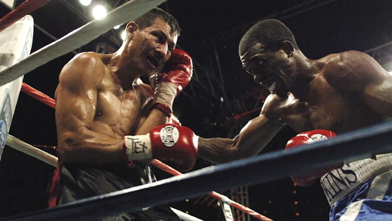 Invisible cracks: how sports impacts wear down the brain’s barrier