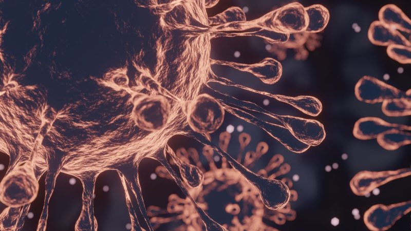 The invisible switch of disease: how proteins are rewriting the fight against tumors
